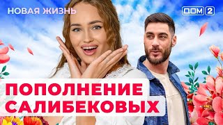 ДОМ2 Новая жизнь эфир от 9112024 [upl. by Bakerman]