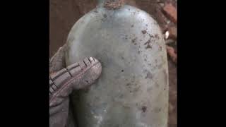 Privy Digging 1st Historical Flask😲 and super Rare Insulator [upl. by Eniliuqcaj]