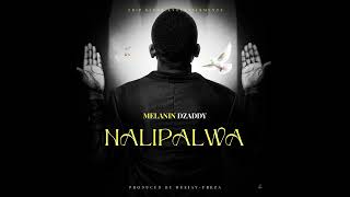 Melanin Dzaddy Nalipalwa Prod by DeejayFreza [upl. by Ynittirb]