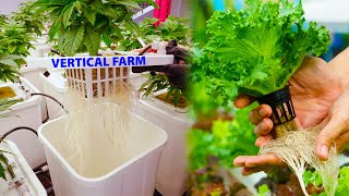 Vertical Farming  Agriculture Trends [upl. by Nosnirb411]