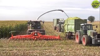 Maishäckseln • Maisernte • Maissilage • Corn Harvest • 2021 • Claas Jaguar • Fendt • John Deere [upl. by Frost]