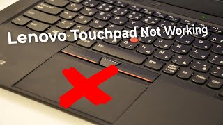 How to Fix  Mouse Cursor Disappears in Windows 11 LaptopDesktop [upl. by Anilecram]