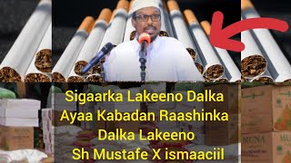 Sigaarka Lakeeno Dalka Ayaa Kabadan Raashinka Dalka Lakeeno Sh Mustafe X ismaaciil [upl. by Nyllek]