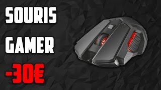 3 SOURIS GAMER PAS CHER A MOINS DE 30€  BONS PLANS PC 2017 [upl. by Magnusson]