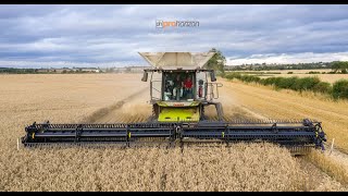 CLAAS 2020 Lexion 8800 with MacDon FLEXDRAPER Header [upl. by Bazil]