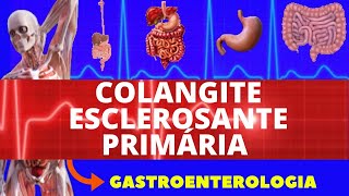 COLANGITE BILIAR PRIMÁRIA  O QUE É CAUSAS SINTOMAS DIAGNÓSTICO E TRATAMENTO  GASTROENTEROLOGIA [upl. by Louis]