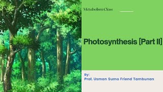 PHOTOSYNTHESIS PART II [upl. by Fridell]