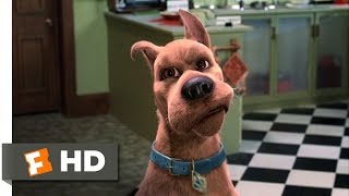 My Top 20 ScoobyDoo Songs Inepisodemovie songs only [upl. by Palermo]