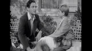 Lassie  Episode 21  quotBlind Soldierquot Originally broadcast 01301955 [upl. by Daniella]