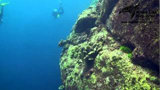 Deep Six Dive Site Similan islands  with Khao Lak Explore Dive Center [upl. by Lemra668]