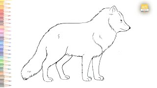 Arctic fox drawing  How to draw A Fox [upl. by Lemcke]