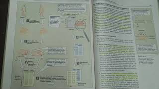 Southern Blotting  BIOCHEMISTRY [upl. by Nick365]