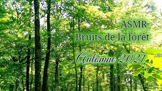 ASMR les bruits de la forêt en automne Septembre 2021 [upl. by Nauqas3]