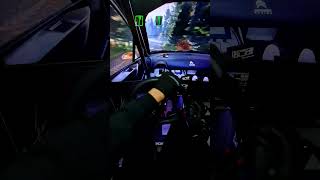 Rally Simulator  Dirt rally 20 rally shortsvideo fanatec shorts [upl. by Yerffej]