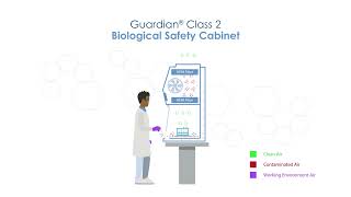 Class 2 Biological Safety Cabinet  Airflow [upl. by Otte]