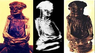 The Mystery of The San Pedro Mountains Mummy  The Truth Behind Mummified Pygmy [upl. by Newcomer]