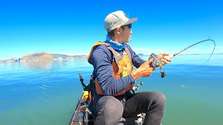 Commercial Kayak Fishing  Catching and Selling My Fish [upl. by Ivel]