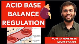 Acid Base Balance  Biochemistry  Renal Physiology [upl. by Suivatram]