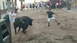 Massamagrell 14092024 Toros del Pilar y del Canario [upl. by Ivanah15]