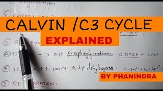 CALVIN CYCLE  C3 CYCLE  BY PHANINDRA GUPTA [upl. by Diamante]