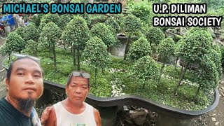 MICHAELS BONSAI GARDENUP DILIMAN BONSAI SOCIETY [upl. by Elfreda]