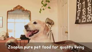 Zooplus pure pet food for quality living [upl. by Aidualc]