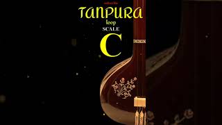 C Tanpura [upl. by Vander]