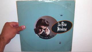 Blow Monkeys  I backed a winner in you 1986 [upl. by Ybbob]