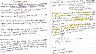 Topic 10 Beta Lactam Antibiotics  Beta Lactamase Inhibitor amp Monobactam Antibiotics  Antibiotics [upl. by Orthman801]