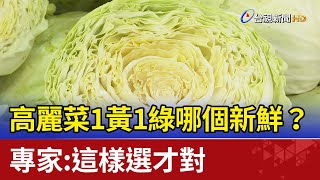 高麗菜1黃1綠哪個新鮮？專家：這樣選才對 [upl. by Yahsel79]