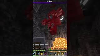 I Fought The Wither Boss In Minecraft [upl. by Oaht]