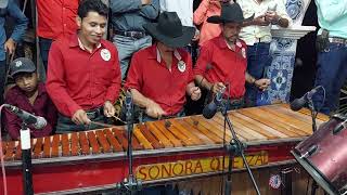 cumbia mixcon marimba sonora quetzal [upl. by Garrek184]