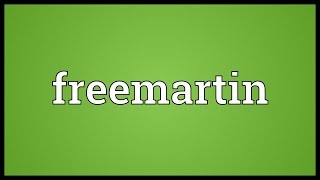 Freemartin Meaning [upl. by Wandy]