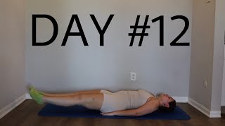 Day 12 Hiit 30 Day Workout Challenge At Home No Equipment [upl. by Niwhsa]