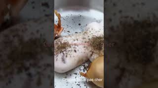 Comment cuisiner le pied de veau c’est trop bon cuisinefacilepascher food [upl. by Marek999]