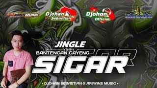 DJ BANTENGAN full gayeng  SIGAR   this is by Djohan Sebastian  suppots by Ariyans Music [upl. by Enyallij]