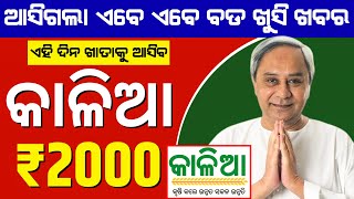 Kalia Yojana Money Credit Date 2023  Kalia Yojana New Update Today  Kalia Yojana News Today [upl. by Tobey]