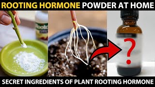 How to make ROOTING POWDER at HOME  Plant Rooting Hormone Secret Ingredients [upl. by Enairda]