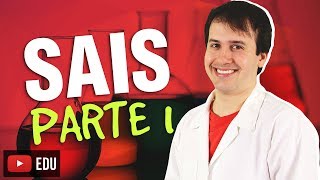 7 Funções Inorgânicas Sais 13 Química Geral [upl. by Lindeberg]