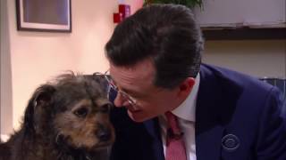 Stephen Colbert Kiss compilation [upl. by Joost]