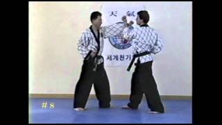 Hapkido  Punch Cover Punches [upl. by Odrarebe]