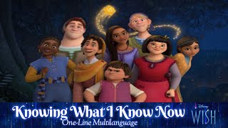 Disneys Wish  Knowing What I Know Now  OneLine Multilanguage [upl. by Bedell964]