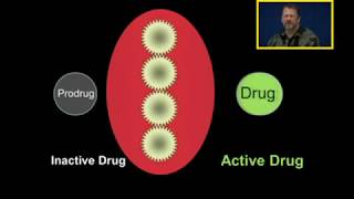 Biotransformation Prodrugs [upl. by Alfonso479]