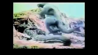 Son of Godzilla 1967 American Trailer [upl. by Hooker661]