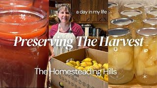 How We Preserve The Harvest and A Fun Night Off The Homestead at the end [upl. by Nnaael]