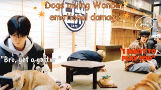 Dogs testing RIIZE Wonbins patience by IGNORING him he tried everything [upl. by Gean]