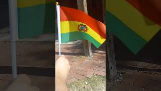 Flag of Bolivia waving in the wind [upl. by Rutherford]