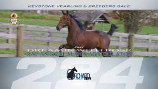 Rap An Roll Man filly  Keystone Yearling amp Breeders Sale Lot 224 [upl. by Landau]