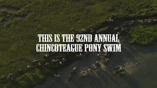 92nd Annual Chincoteague Pony Swim [upl. by Grange727]