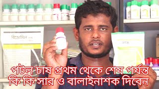 পটল চাষ পদ্ধতি প্রথম থেকে শেষ পর্যন্ত কি কি কীটনাশক ও সার দিবেন। [upl. by Maletta]